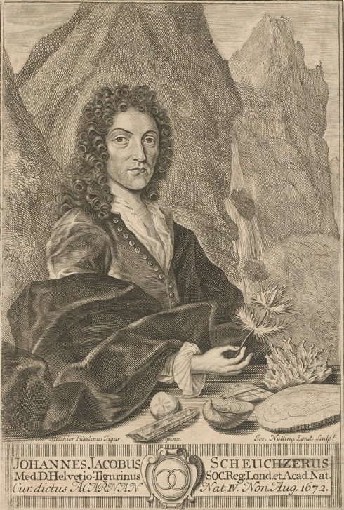 Der Schweizer Naturforscher Johann Jakob Scheuchzer